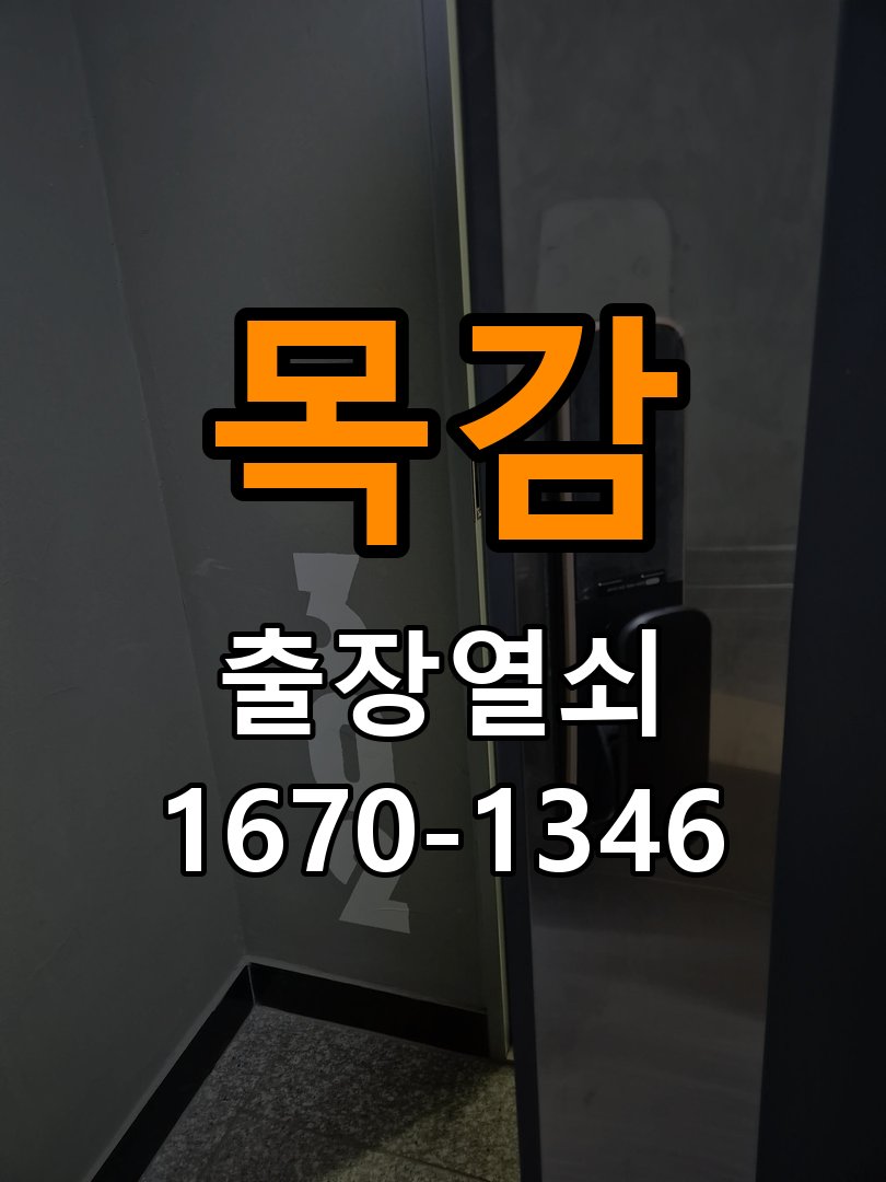 목감 열쇠 부러짐 키 실린더 교체 정밀 핀 실린더 뭉치 및 열쇠 3개 세트 정밀 점검 및 교체