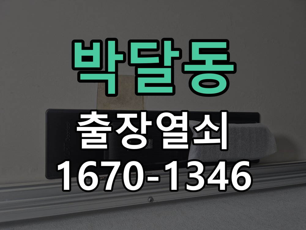 박달동 보조키 특수키 안전고리 추가 설치 특수 핀 실린더 보조키 및 빗장형 고급 안전고리 정밀 점검 및 교체