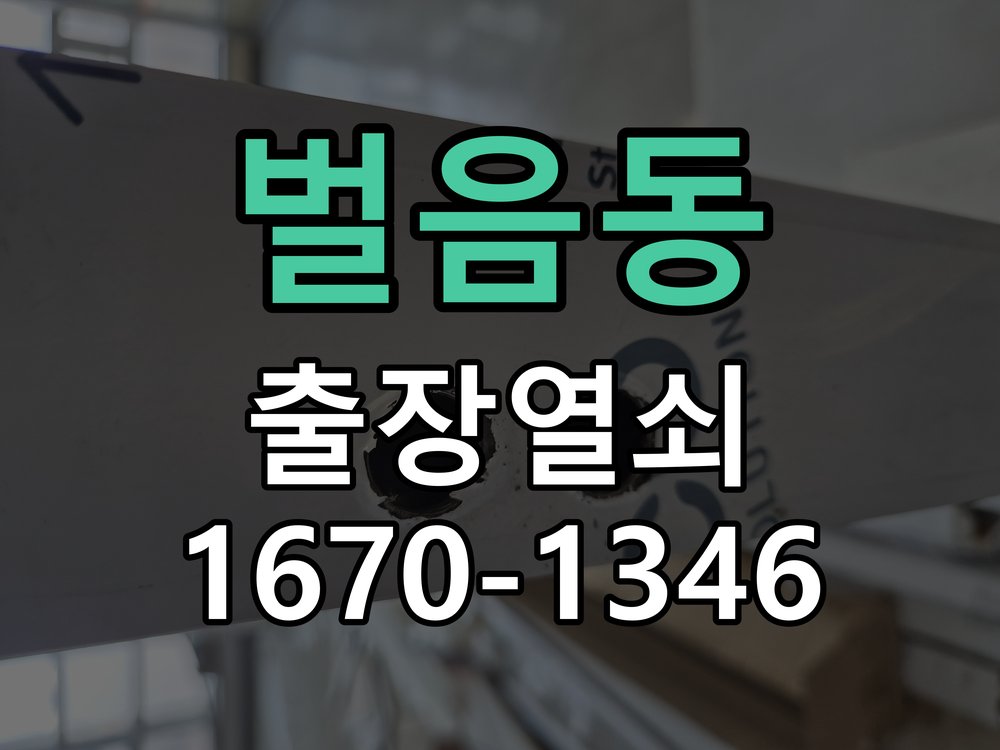 벌음동 현관문 보조키 열쇠 분실 키통 교체 도어락 위의 특수 보조키 열쇠를 잃어버려 문을 열지 못함 현장 출장
