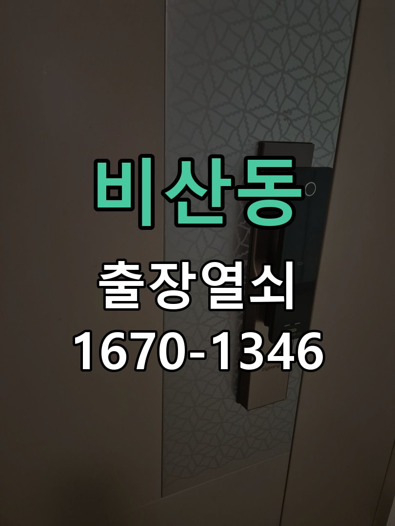 비산동 현관문 보조키 열쇠 분실 키통 교체 도어락 위의 특수 보조키 열쇠를 잃어버려 문을 열지 못함 현장 출장