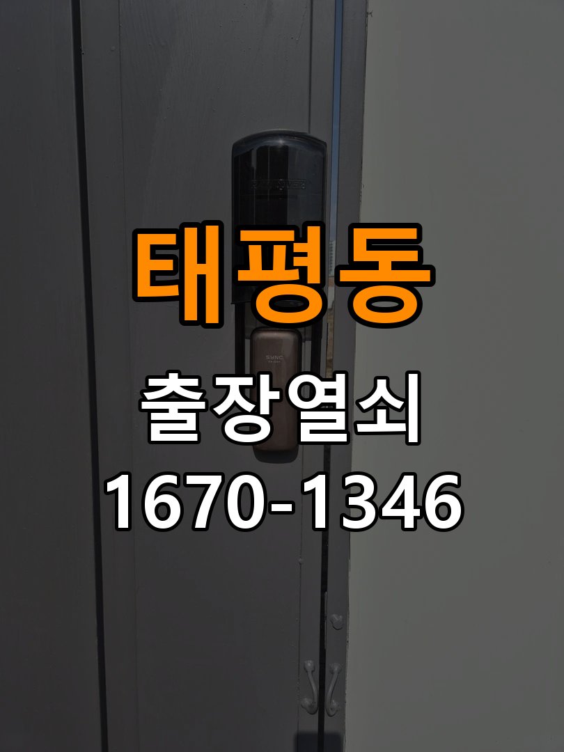 태평동 보조키 특수키 안전고리 추가 설치 특수 핀 실린더 보조키 및 빗장형 고급 안전고리 정밀 점검 및 교체