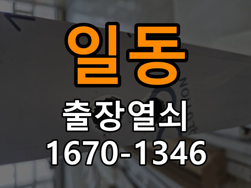 일동 보조키 특수키 안전고리 추가 설치 도어락 외에 추가적인 이중 보안 잠금장치 필요 현장 출장