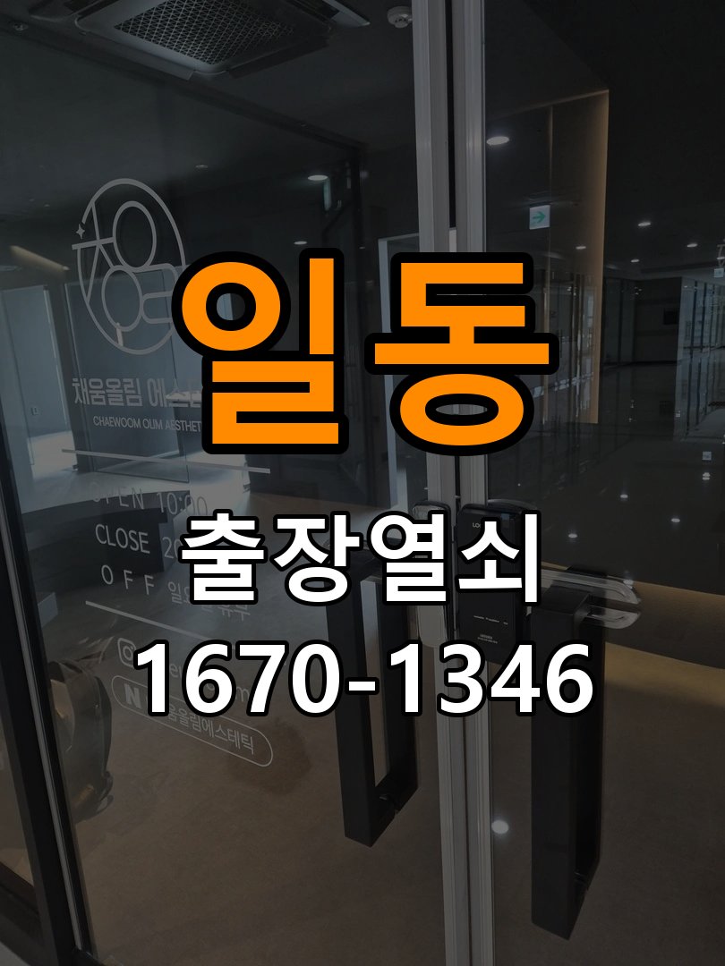 일동 보조키 특수키 안전고리 추가 설치 특수 핀 실린더 보조키 및 빗장형 고급 안전고리 정밀 점검 및 교체