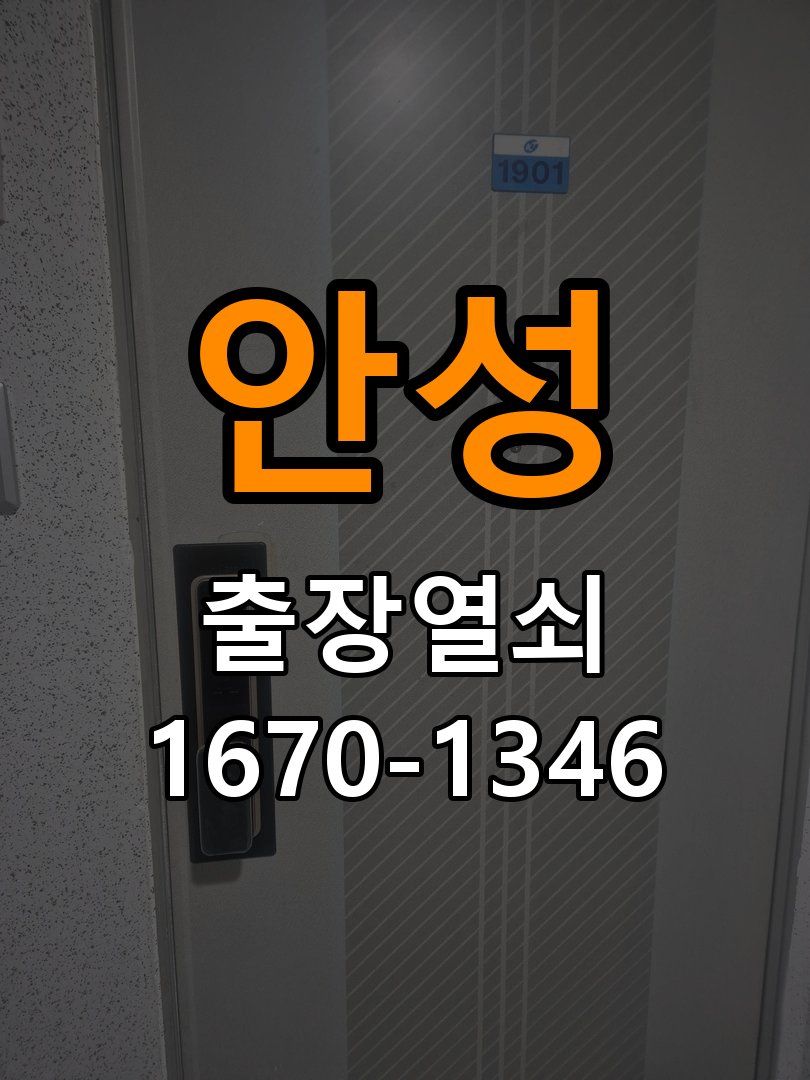 안성 보조키 특수키 안전고리 추가 설치 도어락 외에 추가적인 이중 보안 잠금장치 필요 현장 출장