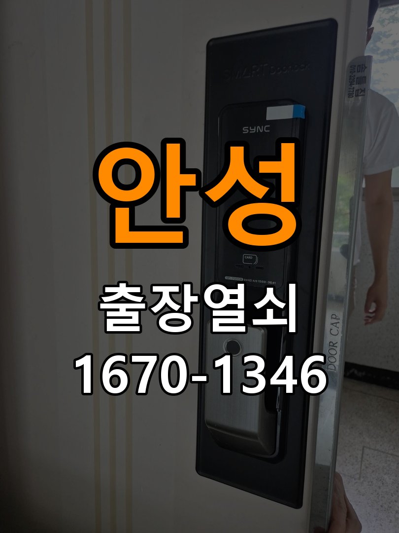 안성 보조키 특수키 안전고리 추가 설치 특수 핀 실린더 보조키 및 빗장형 고급 안전고리 정밀 점검 및 교체