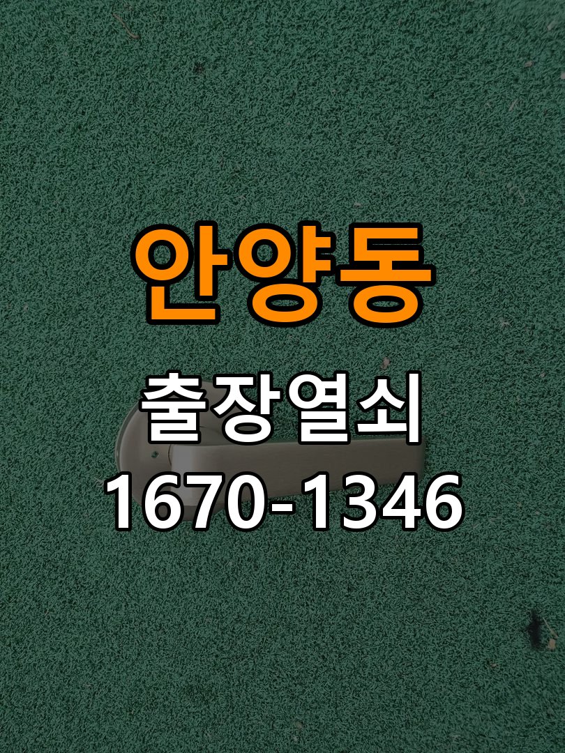 안양동열쇠 반지하 화장실 핀 잠김 및 해결 방법 참고 사진 3