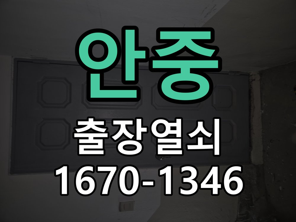 안중 지문인식 푸시풀 도어락 신규 교체 시공 열쇠나 카드 없이 손잡이를 잡는 순간 바로 문이 열리는 도어락 희망 현장 출장