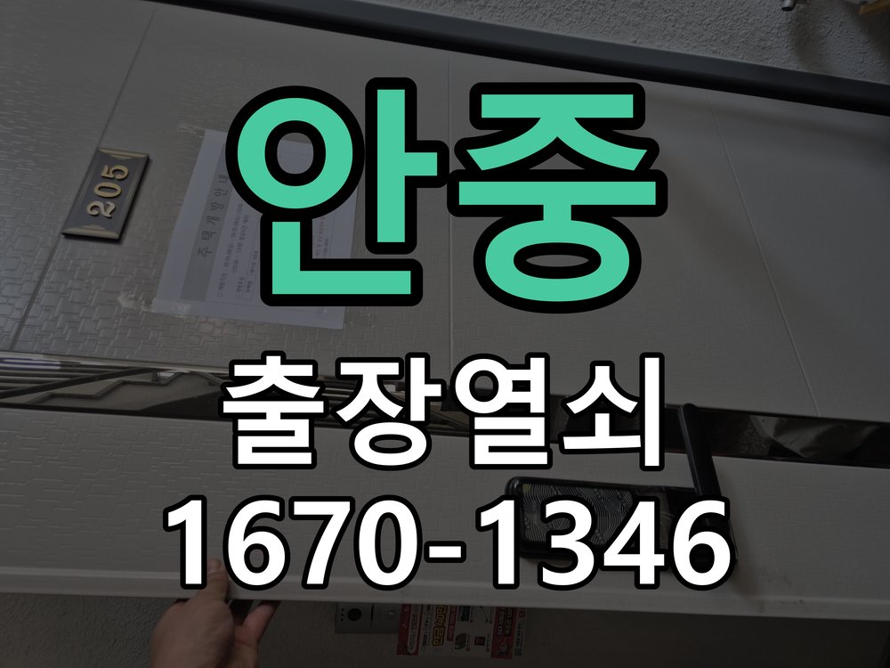 안중 지문인식 푸시풀 도어락 신규 교체 시공 인체공학 지문센서 핸들 일체형 프리미엄 푸시풀 도어락 정밀 점검 및 교체