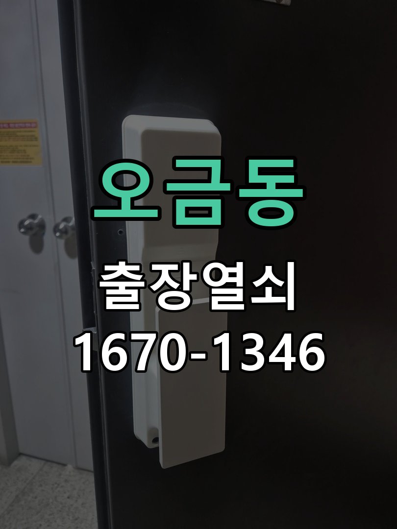 오금동 열쇠 부러짐 키 실린더 교체 정밀 핀 실린더 뭉치 및 열쇠 3개 세트 정밀 점검 및 교체