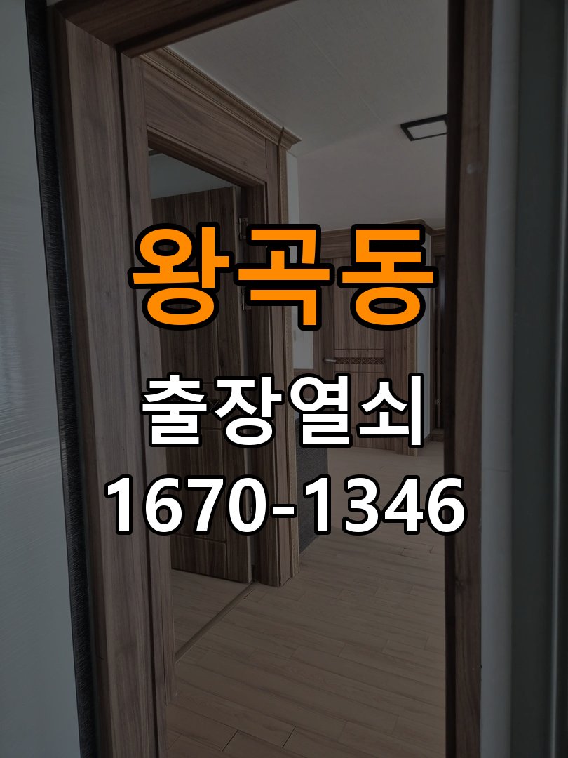 왕곡동열쇠 상가 현관문 보조키 분실 및 키통 교체 수리 가이드 참고 사진 2