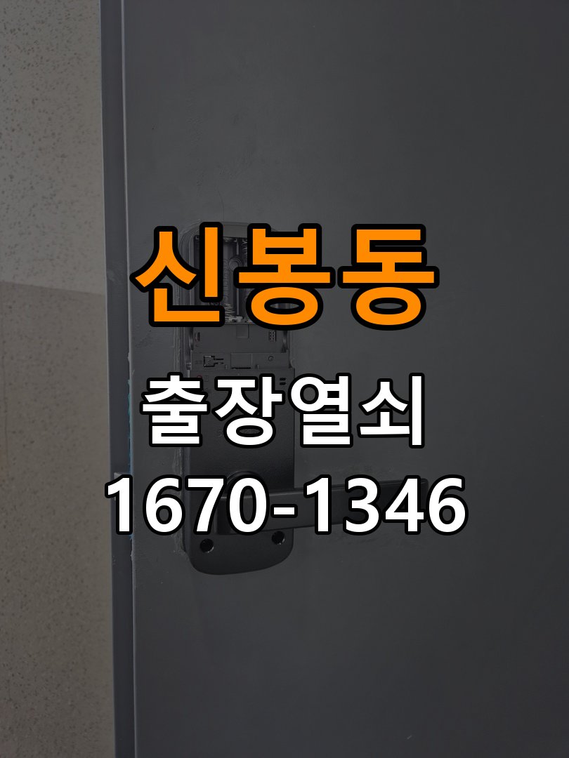 신봉동 보조키 특수키 안전고리 추가 설치 특수 핀 실린더 보조키 및 빗장형 고급 안전고리 정밀 점검 및 교체