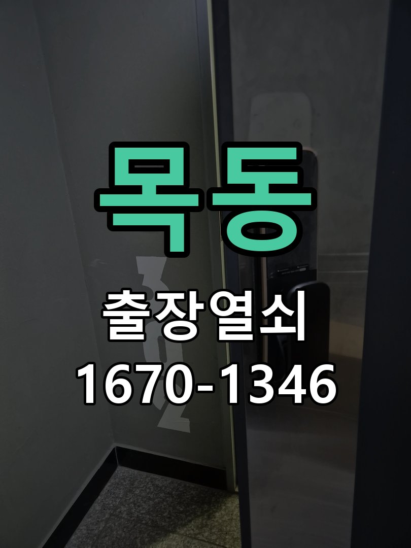 목동 현관문 처짐 도어클로저 닫힘 속도 조절 문이 쾅쾅 세게 닫히거나 반대로 끝까지 닫히지 않고 멈춤 현장 출장