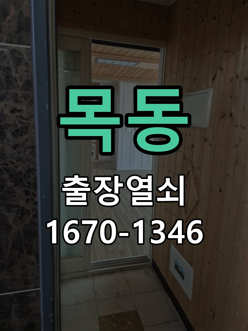 목동 현관문 처짐 도어클로저 닫힘 속도 조절 K250 규격 유압식 방화문 도어체크 교체 정밀 점검 및 교체