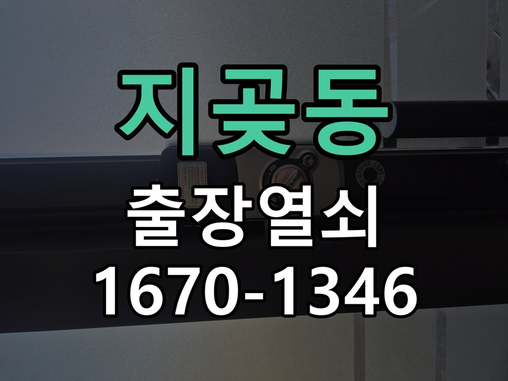 지곶동 창고 대문 개폐기 열쇠 고장 교체 주택 대문 개폐기 버튼을 눌러도 문이 열리지 않고 걸림 현장 출장