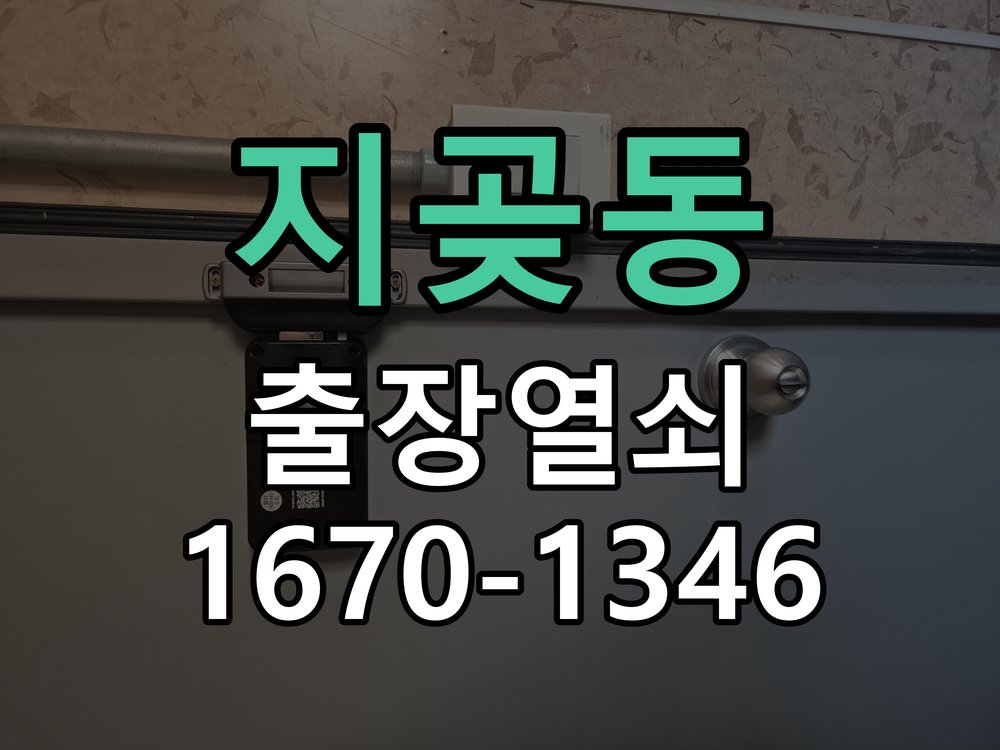 지곶동 창고 대문 개폐기 열쇠 고장 교체 AC 220V/DC 12V 호환 전자 대문 개폐기 정밀 점검 및 교체