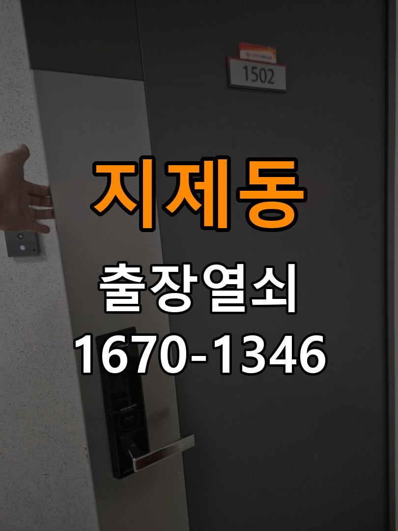 지제동 보조키 특수키 안전고리 추가 설치 특수 핀 실린더 보조키 및 빗장형 고급 안전고리 정밀 점검 및 교체