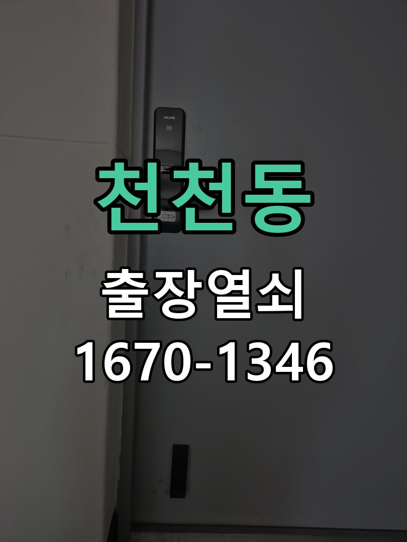 천천동 도어락 경고음 삐삐삐 울릴때 조치법 스트라이커 가이드 위치 재조정 및 데드볼트 연마 정비 정밀 점검 및 교체