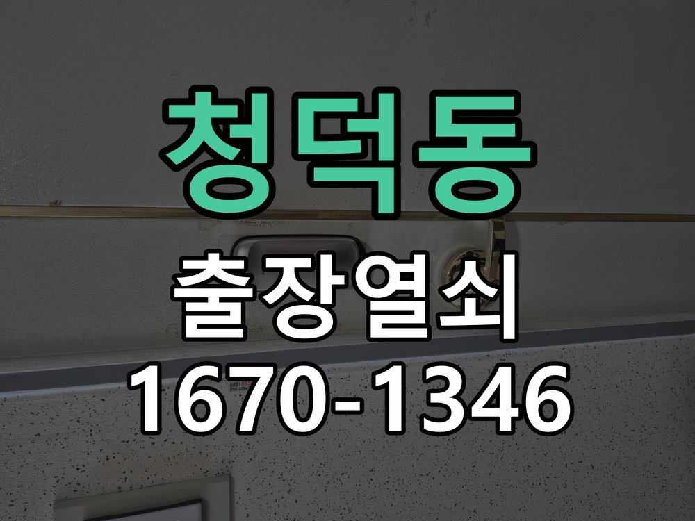 청덕동 도어락 모티스 걸쇠 데드볼트 걸림 해결 잠금 모터 소리는 나지만 걸쇠가 끝까지 나오지 않아 문이 안 잠김 현장 출장