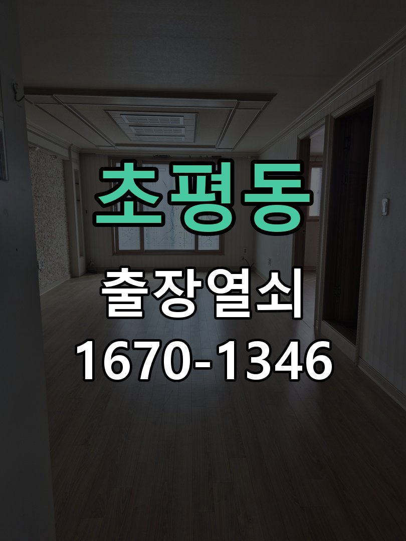 초평동 보조키 특수키 안전고리 추가 설치 특수 핀 실린더 보조키 및 빗장형 고급 안전고리 정밀 점검 및 교체