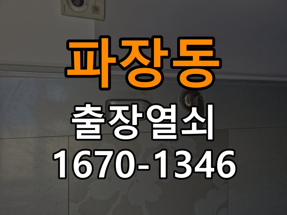 파장동 반지하 주택 도어락 터치패드가 저절로 켜지는 증상 점검 - 혼자 조작하기 전 주의사항 반지하 주택 출입 공간에서 입력하지 않았는데 터치패드가 반복 점등함. 이 글의 점검 목적: 무리한 힘과 임의 분해를 피하고 소유·관리 권한을 확인한 뒤 전문가 상담 현장 출장