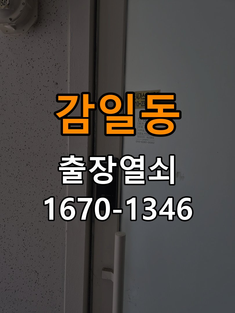 감일동 창고 대문 개폐기 열쇠 고장 교체 주택 대문 개폐기 버튼을 눌러도 문이 열리지 않고 걸림 현장 출장