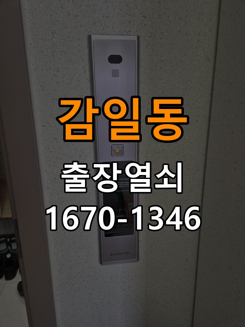 감일동 창고 대문 개폐기 열쇠 고장 교체 AC 220V/DC 12V 호환 전자 대문 개폐기 정밀 점검 및 교체