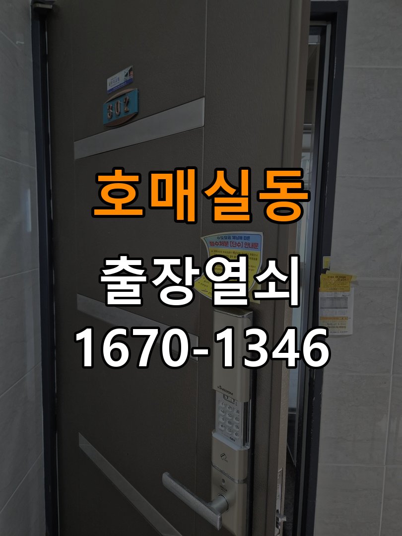 호매실동 상가 셔터키 자물쇠 고장 출장 수리 상가 롤러셔터 바닥 자물쇠에 키가 헛돌고 열리지 않음 현장 출장