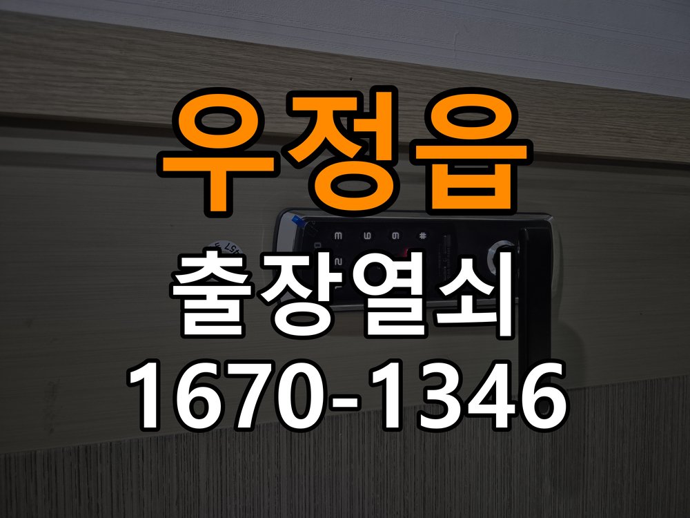 우정읍 보조키 특수키 안전고리 추가 설치 특수 핀 실린더 보조키 및 빗장형 고급 안전고리 정밀 점검 및 교체